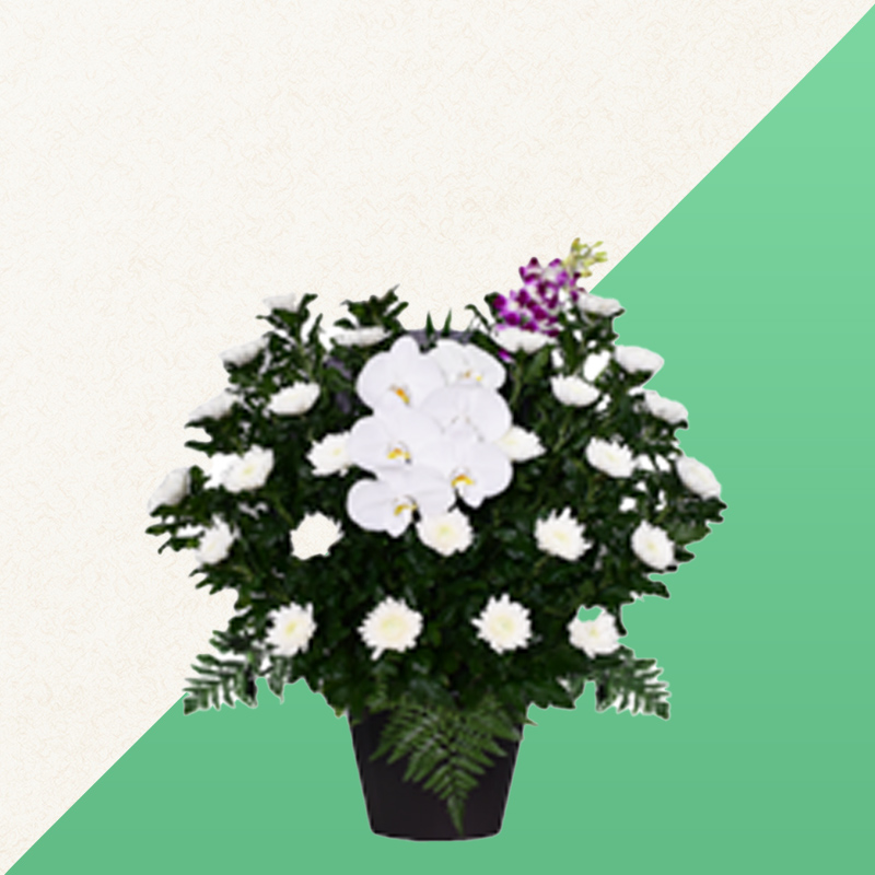 ファミリーホール高津の供花、白菊 16,500円